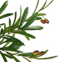 Fluid Home Interiors - Faux Mediterranean Olive Fruit Tree 6ft - Libra Interiors