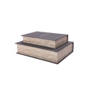 Aesthetics of Design Set of 2 Book Boxes