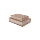 Beige Decorative Book Boxes (Set of 2)