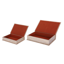 Beige Decorative Book Boxes (Set of 2)