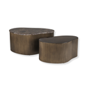 Cloud Marble & Glass Set of 2 Coffee Tables