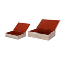 Matisse Set of 2 Book Boxes
