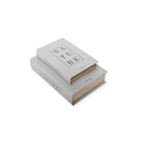 Nature Decorative Book Boxes (Set of 2)
