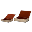 Nature Decorative Book Boxes (Set of 2)